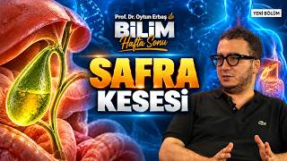 Safra Kesesi Taşları, İltihap ve Tedavi Yöntemleri | Prof. Dr. Oytun Erbaş