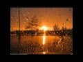 Sunshine in the rain remix 