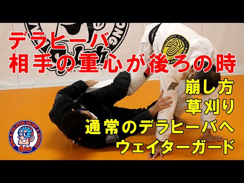 デラヒーバ　後ろの足に体重が乗ってるとき　崩し方　草刈り　ウェイターガードへa