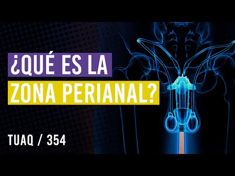 Qué es la zona perianal