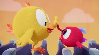 Chicky and Poyo's Challenge | Where's Chicky? | Cartoon Collection in English for Kids | HD
