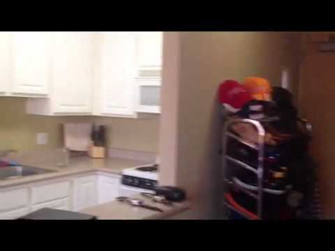 Santa Monica CA studio apt for rent