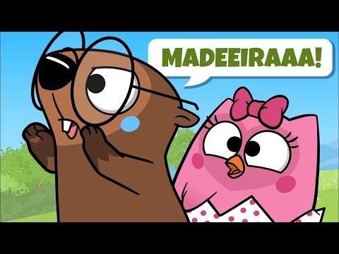 A FLORESTA está em PERIGO? 😲 Episódio Completo | Bubu e as Corujinhas