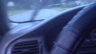 UNTAMED MUSIC WE IN THIS BITCH