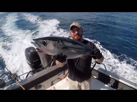 download lagu mp3 mp4 Oregon Tuna Season 2018, download lagu Oregon Tuna Season 2018 gratis, unduh video klip Oregon Tuna Season 2018
