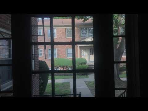 The Walk to Clarks Pond