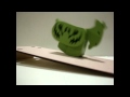 Walking Goat Flv