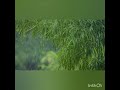 Rimjhim Gire Savan Mehfil Me Kaise Keh De Kisi Se 90 S Song New Version