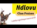 Ndlovu Gatsheni Clan Names Izithakazelo NDLOVU