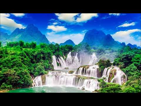 Buro & Kamil Polner - Violation