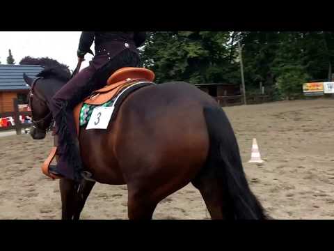 Westfalenmeisterschaft 2017