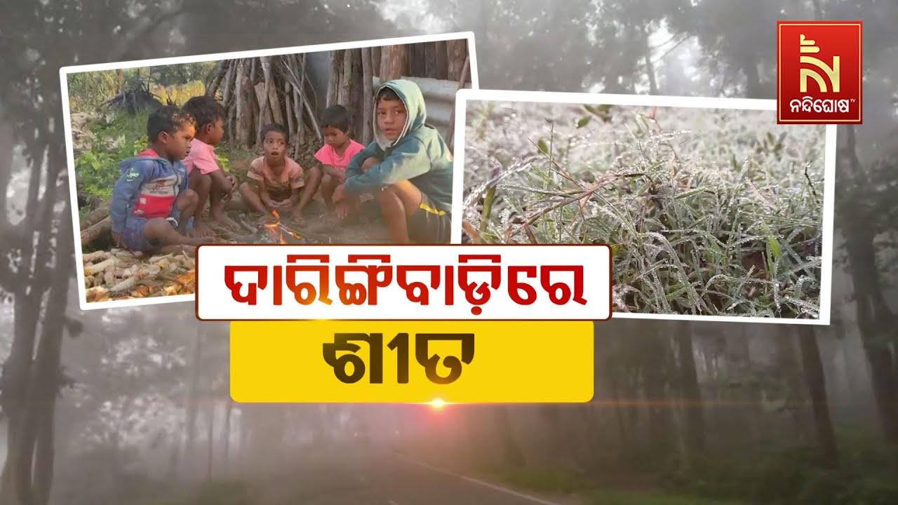 ଦାରିଙ୍ଗବାଡ଼ିରେ ଶୀତ | NandighsohaTV