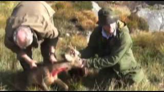 Fieldsports Britain : Stalking at Balmoral and snipe shooting in Wales (episode 5)