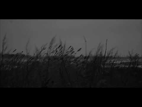 Storm Amstelmeer 2020