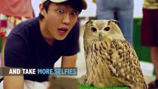 Download lagu Owl Family Cafe  - Animal Cafe in Osaka | The Travel Intern mp3