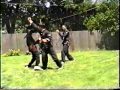 Martial Arts Kansas Yang Tai Chi Form And Application Sifu Scott Winokur