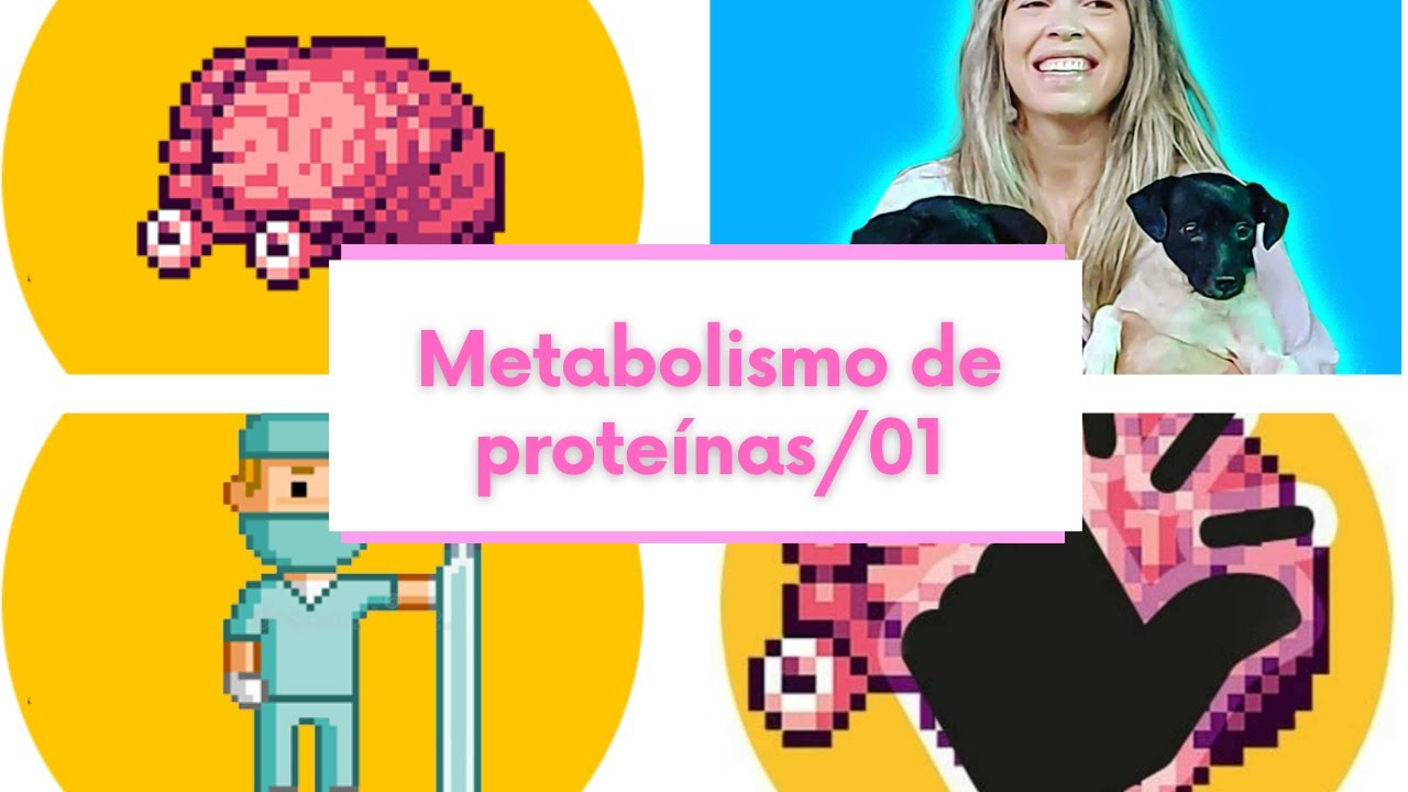 Metabolismo de proteínas/01