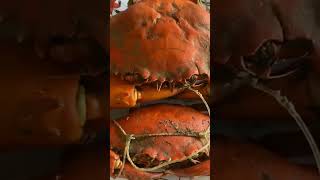 Download lagu #alimango 😋 mp3