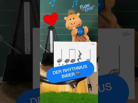 Rhythm fun 😃 mit dem RHYTHMUS BIBER 🦫 Music for Kids | #flohimohrtv