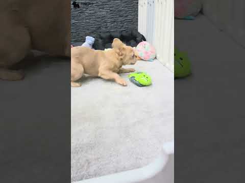 Video 2