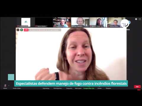 Especialistas defendem manejo de fogo contra incêndios florestais - 26/11/20