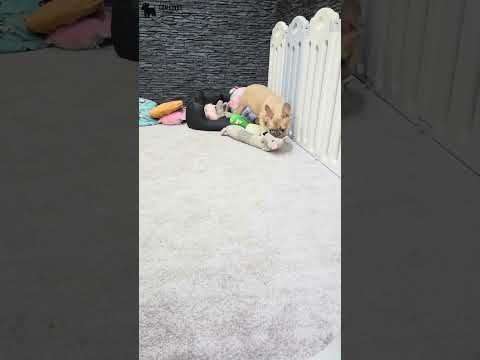 Video 5