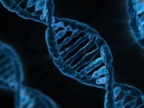 Zopf - Miklós Maros - audio only