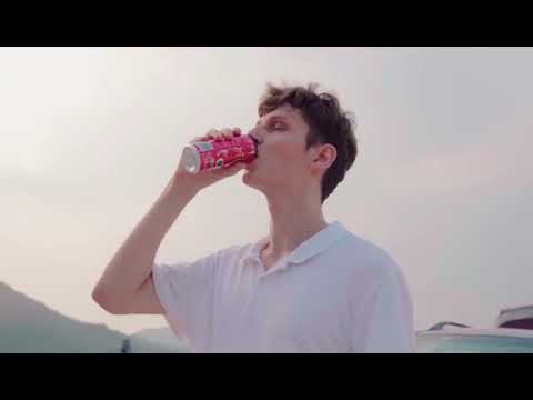 Baseus 8L Portable Car Mini Refrigerator