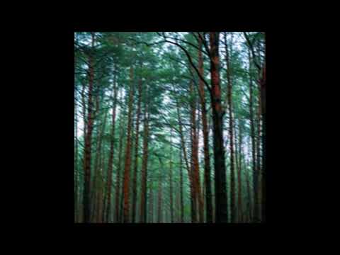 89. biocide - stardust [05.01.2020]