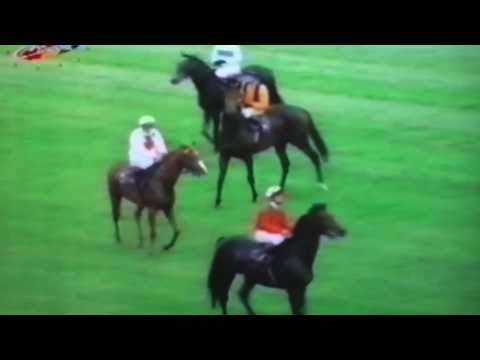 Nagroda Widzowa - 5.06.1994 - Totus (Wolver Heights - Toskanella)