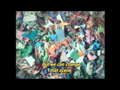 COLLECTIVE CONSCIOUSNESS/ CONSCIENTE COLETIVO