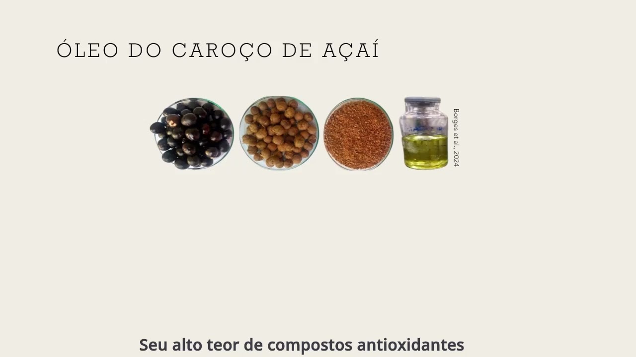 Webinário - Aproveitamento do Resíduo de Açaí