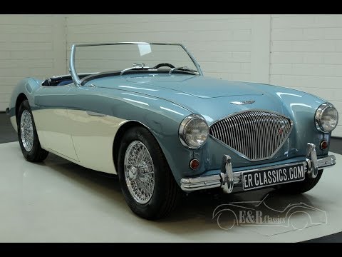 1955 Austin-Healey 100-4 BN2 (CC-1246155) for sale in Waalwijk, Noord-Brabant