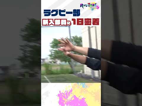 【RyuTube6月号】流通経済大学ラグビー部 #shorts #流通経済大学