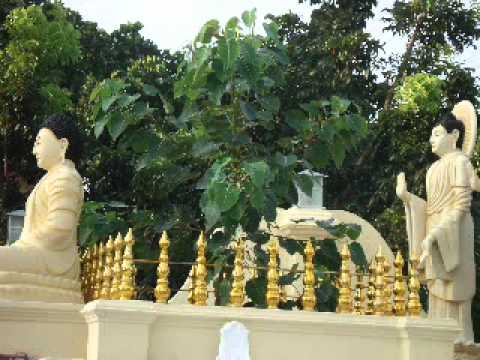 ANDURA VINIVIDA 1.WMV