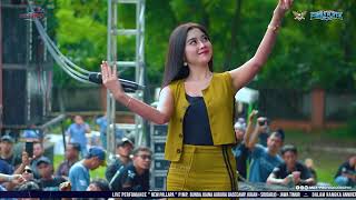 Download lagu CINTA DAN AIR MATA   TIARA AMORA NEW PALLAPA || SEWINDU PLAT K 2024 mp3