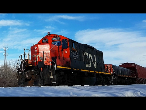 [4K] Old Fashioned Local CN and CEMR Action, and Long CN 532 w/ All EMD Power (02/17/2017)