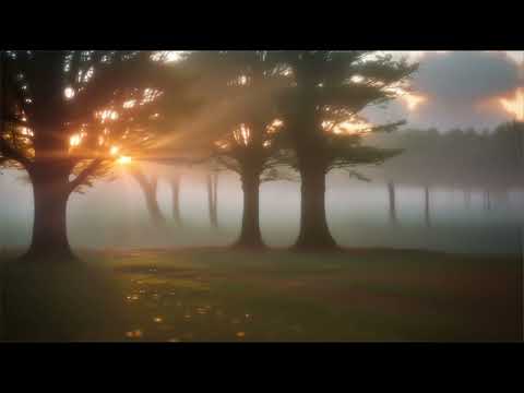 SNOW DEPT. FEAT. SEBASTIAN FORSLUND The Wonders Of Light