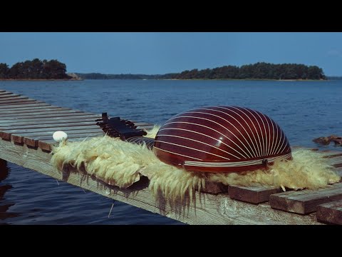 Tribute to ESAIAS REUSNER.  Passacaglia  (5000 Sub. Special)  www.luteduo.com