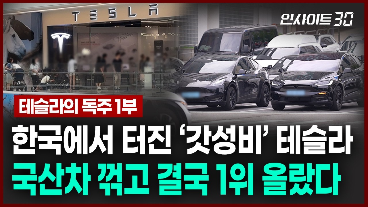 테슬라가 현대·기아차 꺾고 '국내 1위' 한 이유 | 인사이트30
