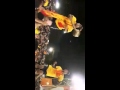 Dahi Handi Funny Dance Videos