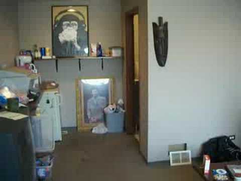 Danger Is My Middle Name: Studio & Mickey Mo