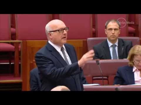 'People do have a right to be bigots': Abbott backs Brandis in response to Nova Peris