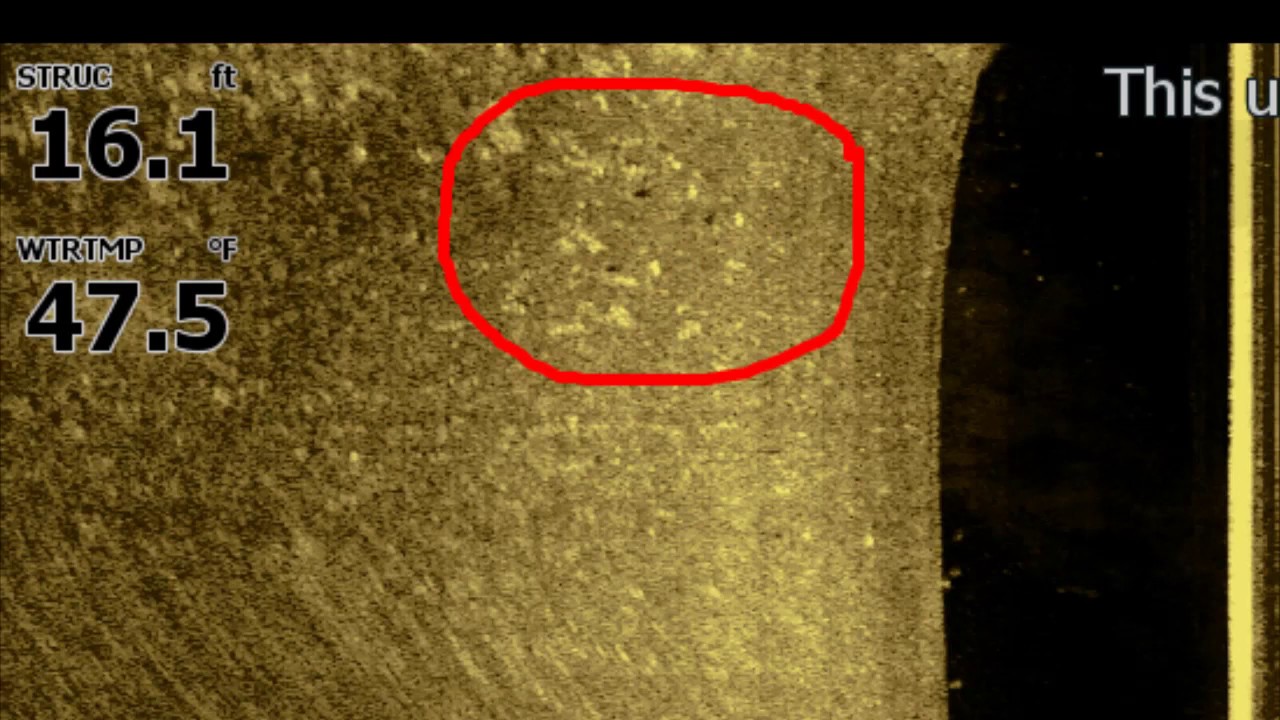 Understanding sonar/ side scan and down scan for fishing success