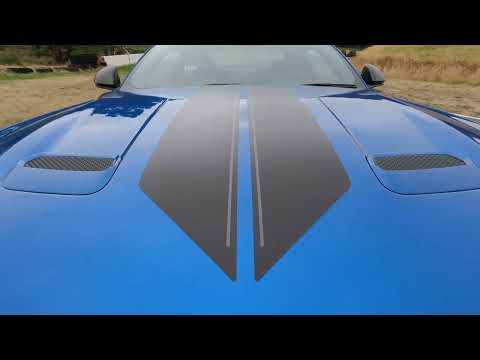 ROAD & TRACK: HERROD DJR FORD MUSTANG