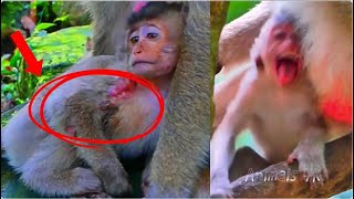 Download lagu Di_/e Right....!? Really Tried After Dea_th Baby Brinya.....? mp3