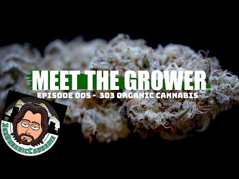 Meet the Grower Ep. 005 - Bryan Wachsman of 303 Organic Cannabis