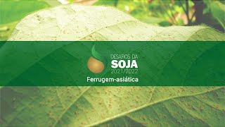 Miniatura do vídeo