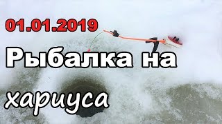 Рыболовные базы в архангельской области зима