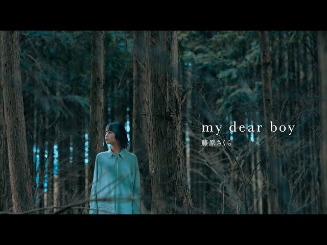 藤原さくら 5th Album「wood mood」本日リリース!収録曲「my dear boy」のミュージックビデオ公開! 2 YouTubeサムネイル